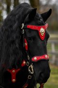 (Bild für) Barockes Vorderzeug " Lady in Red "